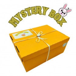 Mystery box